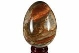 Colorful, Polished Petrified Wood Egg - Triassic #111033-1